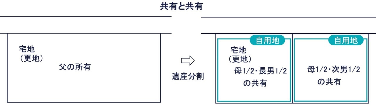 その③：共有と共有