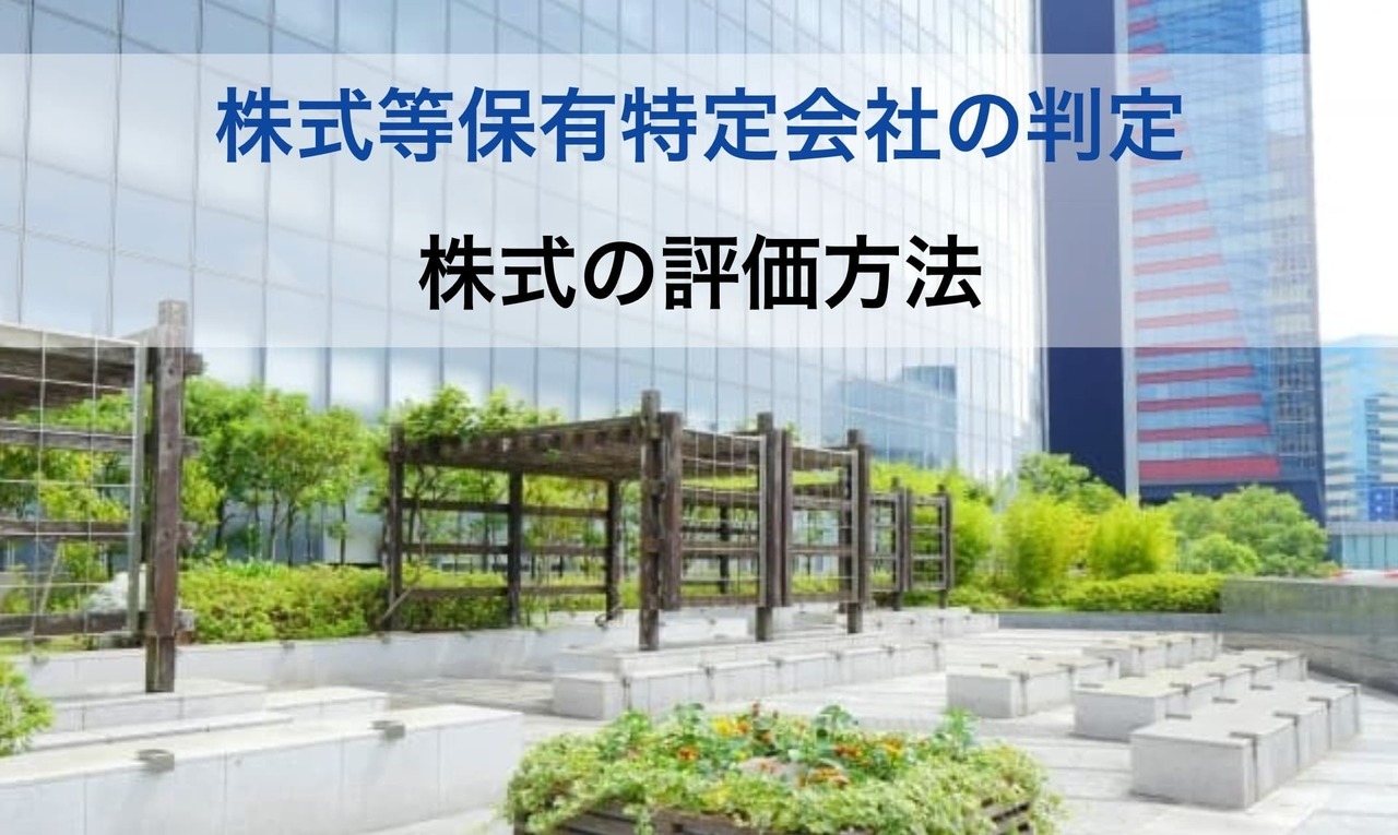 株式保有特定会社