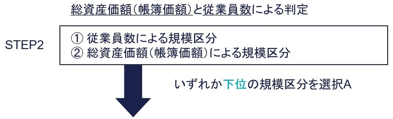 STEP2 総資産価額（帳簿価額）と従業員数による判定