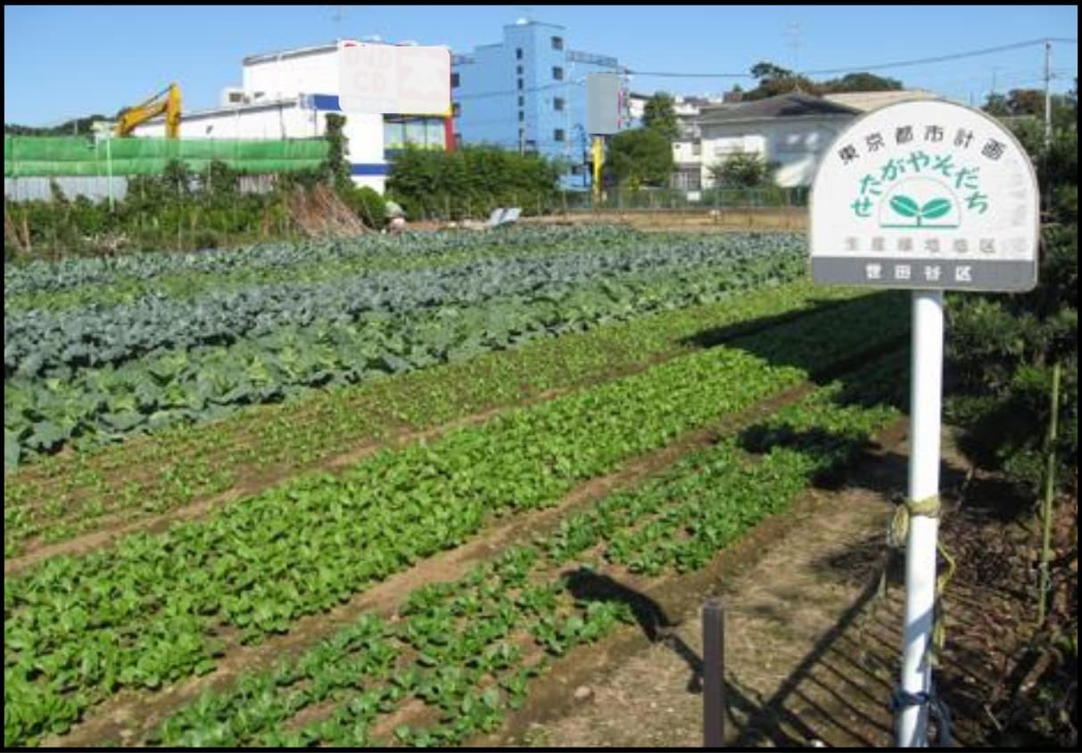 生産緑地標識